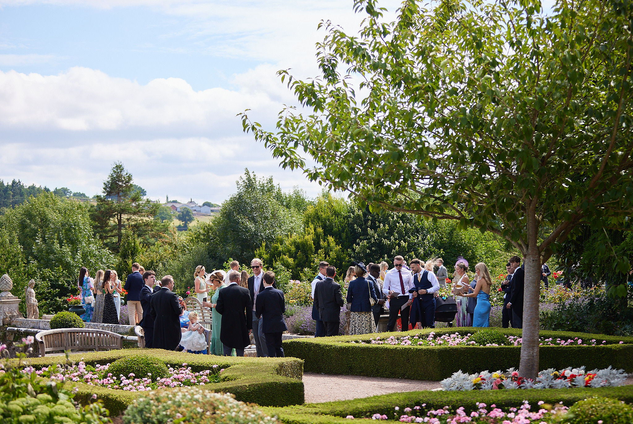 Stately gardens, with cherry blossom tree and hedges.
