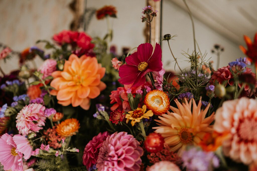 Amber, blush and magenta floral arrangement, made with sustainable British flowers.