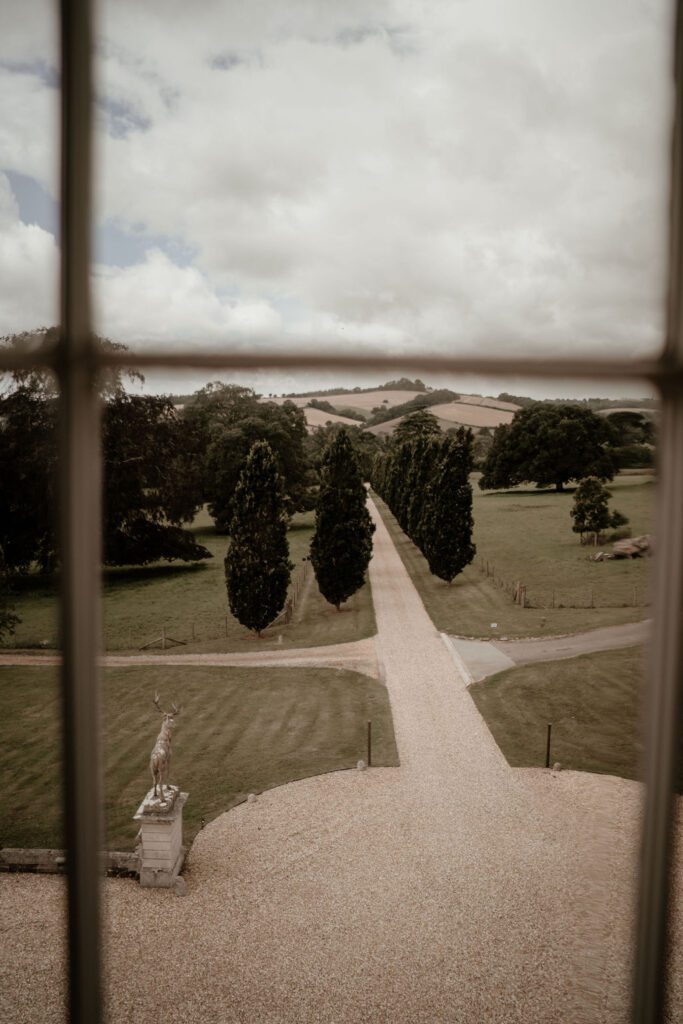 The tree-lined driveway at Devon wedding venue, Pynes House